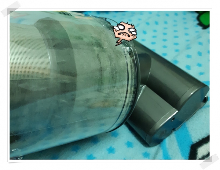 【體驗活動】寵愛（毛）孩子們！就是使用《Dyson Cyclone V10™》吸塵器清潔環境照顧他們的健康！