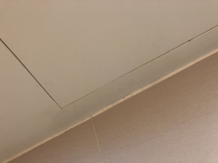 浴室天花板想上油漆，請問釘的木料與矽酸鈣板該如何選擇?