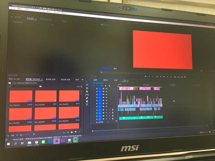 早上WIN10更新後，Premiere Pro 2018突然變得一片紅? 跪請大大解救(已解決)