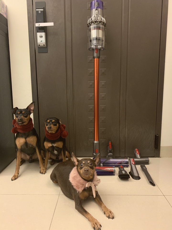 已經融入生活的清掃家電-Dyson Cyclone V10