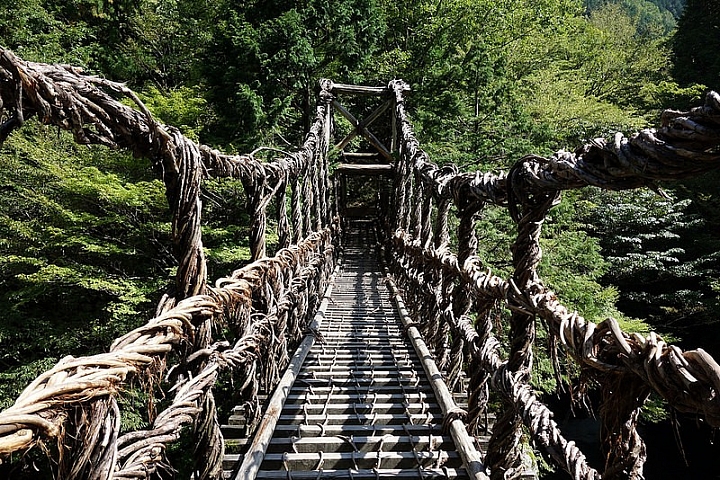 【徳島縣】大自然中的刺激體驗德島奧祖谷藤蔓橋