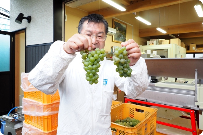 ▋日本山形 ▋享受大地的恩賜，體會人情味十足的好地方。再訪水果王國山形！