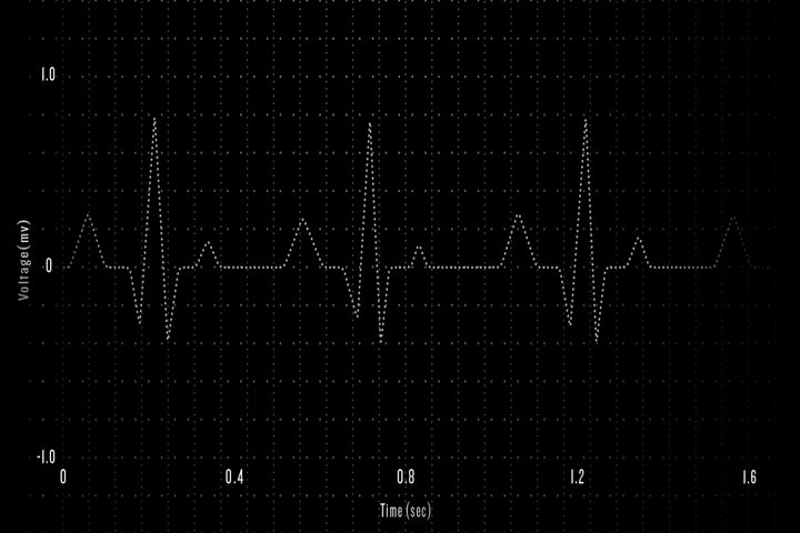 一探Garmin 綠色生產黑科技的旅行
