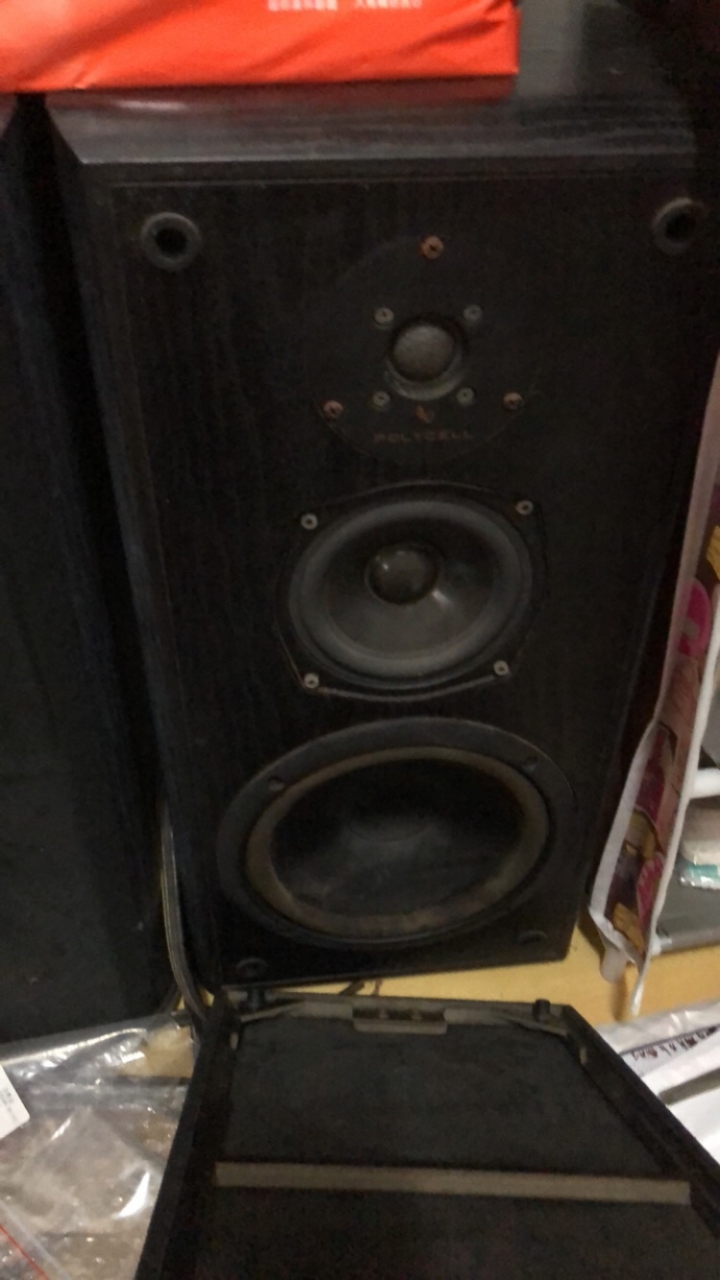 近20年的音響，能否請大家幫忙評估價值