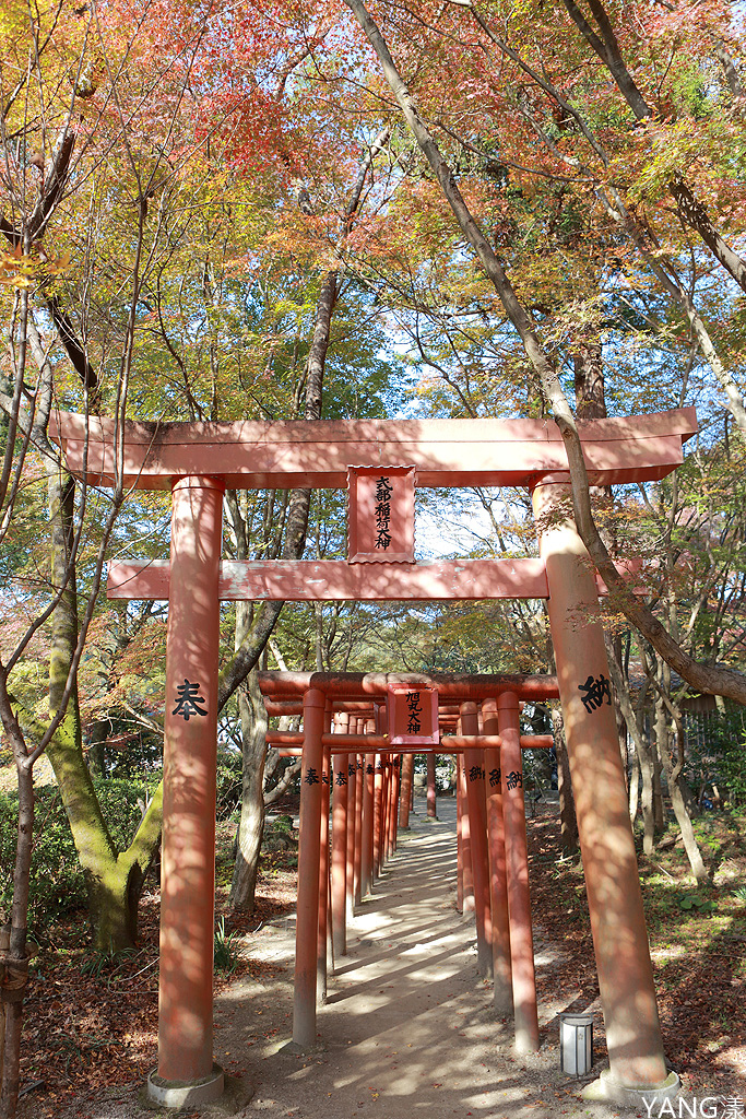 【福岡】寶滿宮竈門神社,賞紅葉求良緣一次搞定
