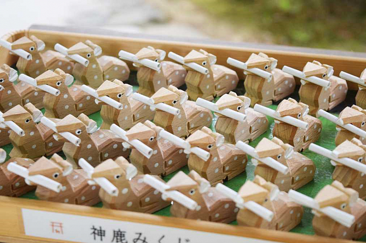 【京都府】來一趟結緣散步行程，把幸福的未來寄託在可愛的「鹿」身上