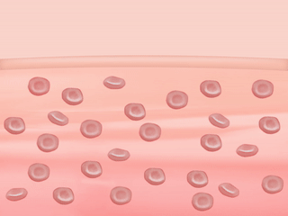 一探Garmin 綠色生產黑科技的旅行