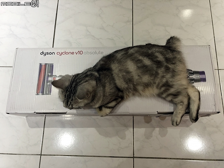 點我看大圖 「適用」於任何環境的新一代 Dyson Cyclone V10™ Absolute 之喵星人喵嚕, 錢錢分享文
