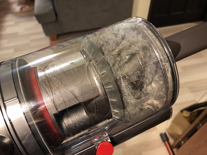 【體驗活動文】用Dyson V10愛屋及烏~愛我的家也愛"牠"~