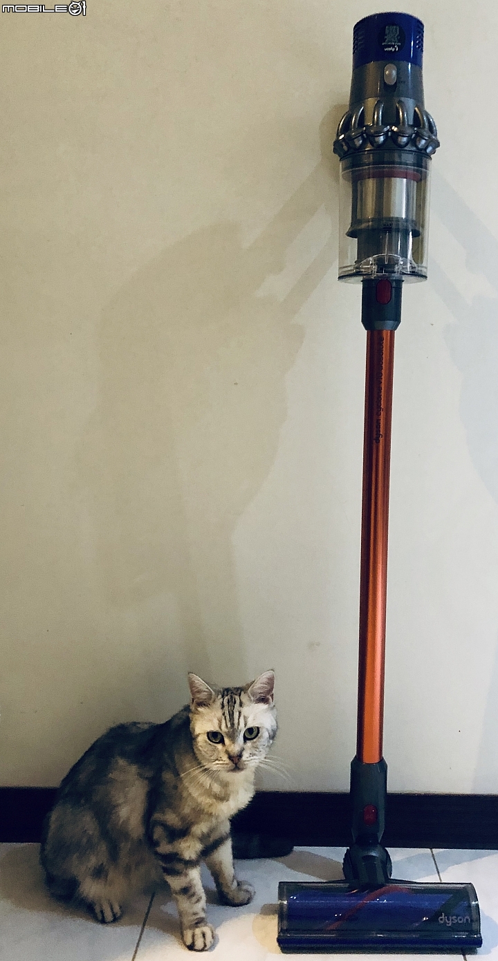 點我看大圖 「適用」於任何環境的新一代 Dyson Cyclone V10™ Absolute 之喵星人喵嚕, 錢錢分享文