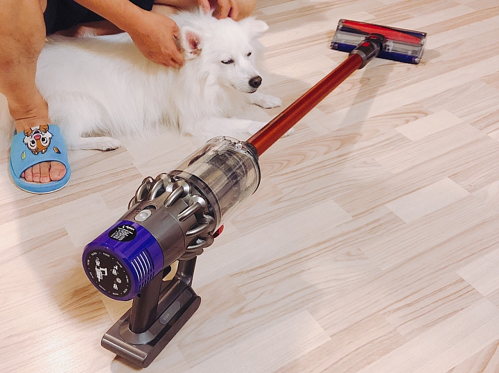 【體驗活動文】用Dyson V10愛屋及烏~愛我的家也愛"牠"~