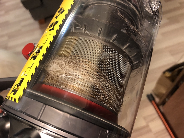 【體驗活動文】用Dyson V10愛屋及烏~愛我的家也愛"牠"~