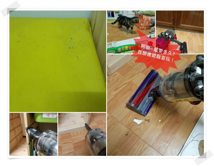 【體驗活動】寵愛（毛）孩子們！就是使用《Dyson Cyclone V10™》吸塵器清潔環境照顧他們的健康！