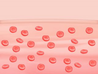 一探Garmin 綠色生產黑科技的旅行