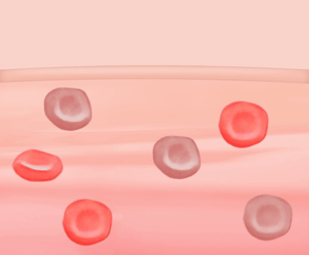 精準。科技。未來---探索GARMIN極致科技的奧秘