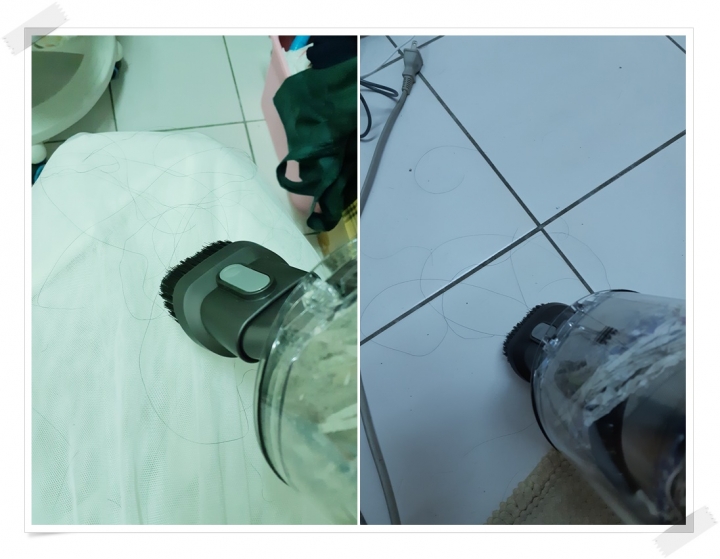 【體驗活動】寵愛（毛）孩子們！就是使用《Dyson Cyclone V10™》吸塵器清潔環境照顧他們的健康！