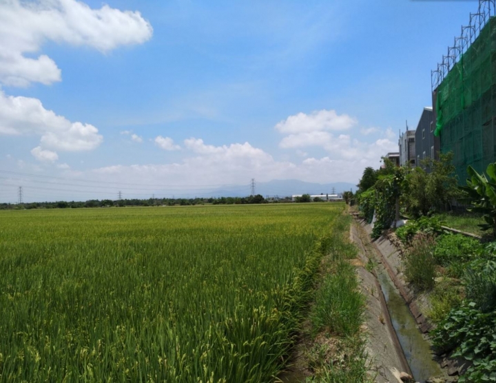 透天厝周遭有農田的環境容易被改建成房子嗎?