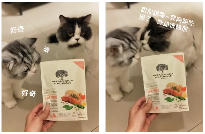 台北寵物展新飼料-澳維康