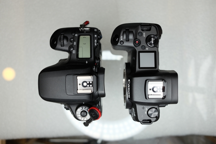CANON EOS R 超簡單開箱!! (圖
