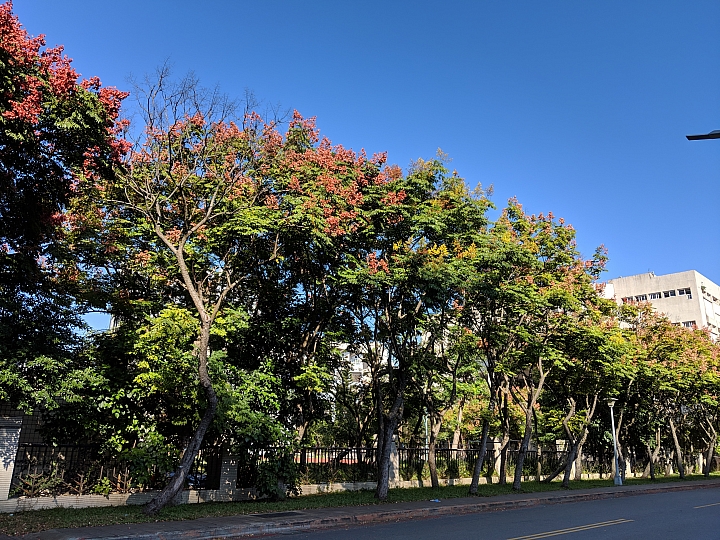 [排排戰] Mate 20 Pro對Pixel 3 DxOMark公布前 你來評分