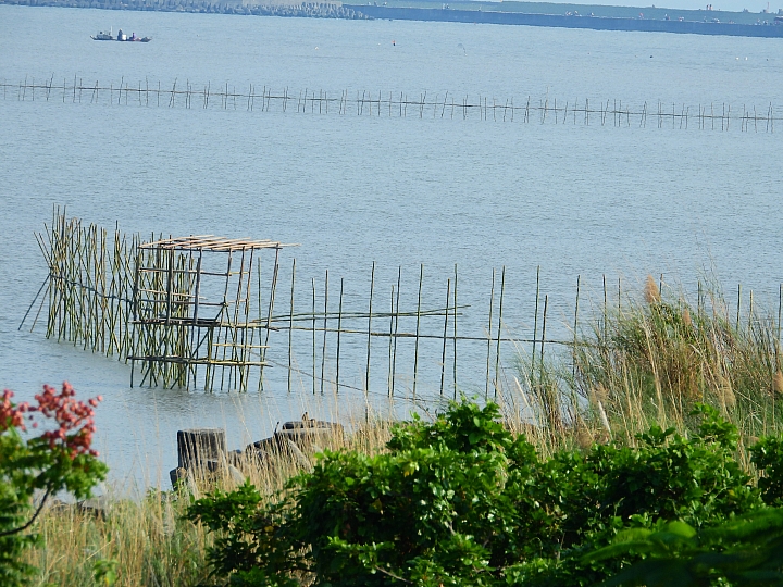 Nikon P1000一日遊，從霧台到南州，到林園深秋芒，迎接鳗魚苗返鄉的豐收。