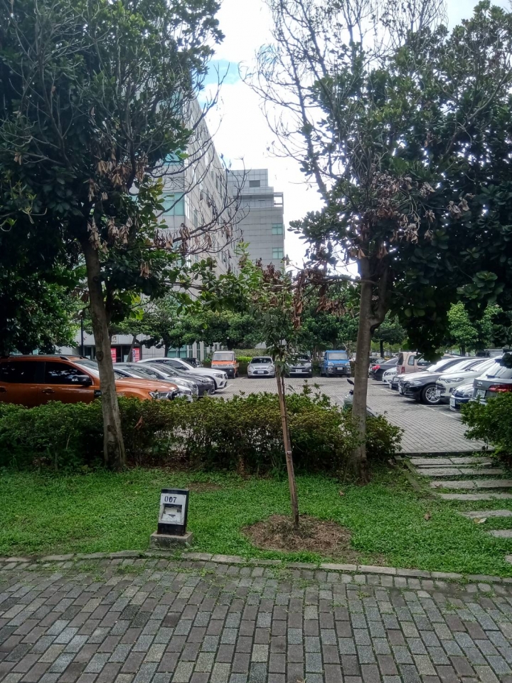 [精簡開箱]開的是回憶NOKIA 5.1+
