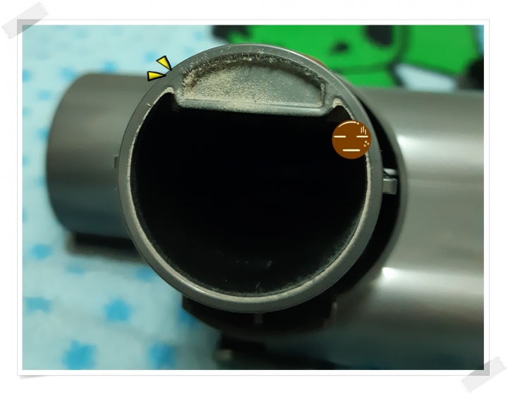 【體驗活動】寵愛（毛）孩子們！就是使用《Dyson Cyclone V10™》吸塵器清潔環境照顧他們的健康！