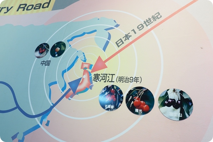 ▋日本山形 ▋享受大地的恩賜，體會人情味十足的好地方。再訪水果王國山形！