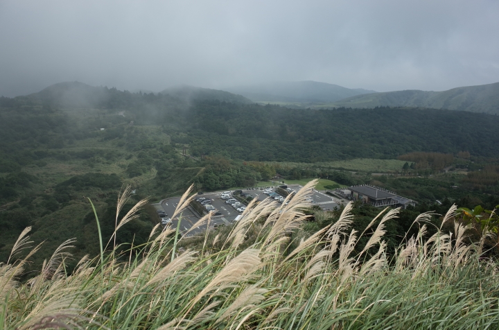 秋見七星山:芒花之旅小跑。01首發文,不喜請鞭!!!