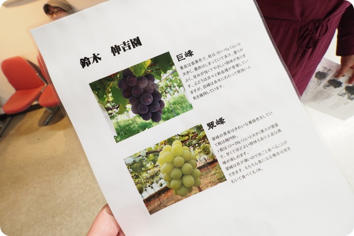 ▋日本山形 ▋享受大地的恩賜，體會人情味十足的好地方。再訪水果王國山形！