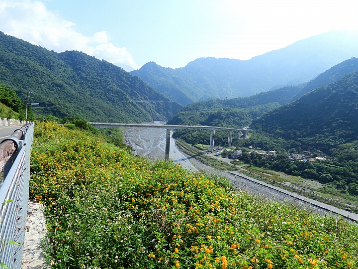 Nikon P1000一日遊，從霧台到南州，到林園深秋芒，迎接鳗魚苗返鄉的豐收。