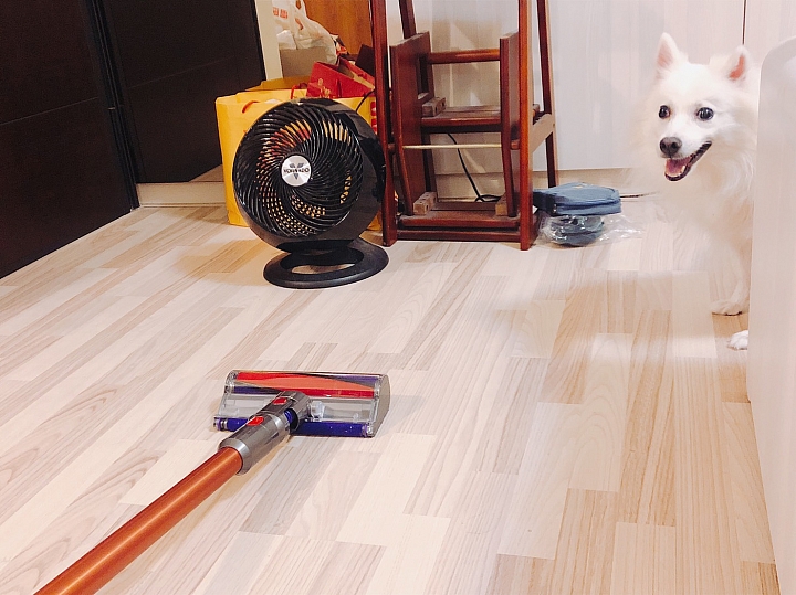 【體驗活動文】用Dyson V10愛屋及烏~愛我的家也愛"牠"~