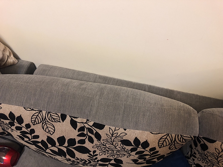 【體驗活動文】用Dyson V10愛屋及烏~愛我的家也愛"牠"~