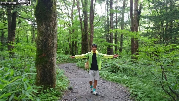 再一次帶著小比  日本旅行去(輪行12天)