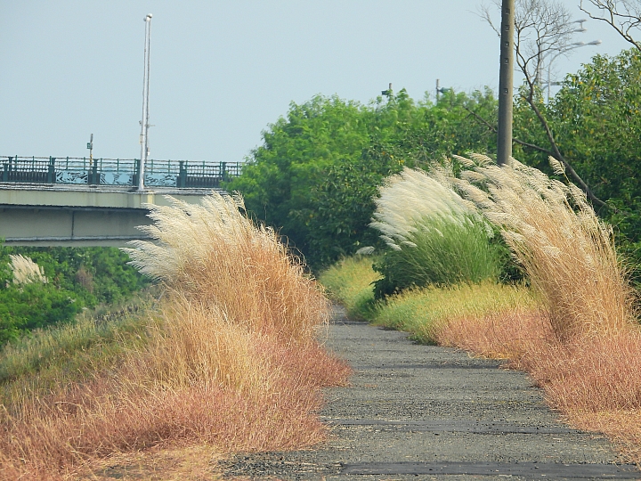 Nikon接力拍秋芒