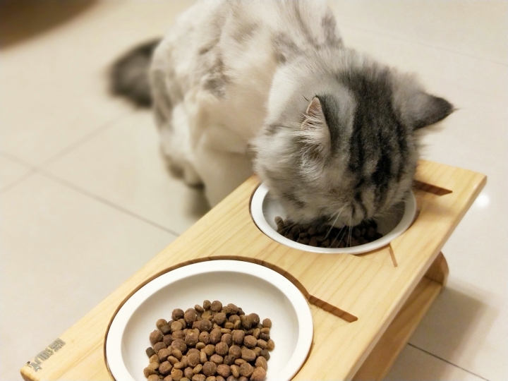 台北寵物展新飼料-澳維康