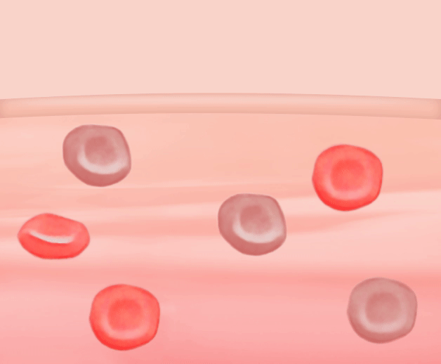精準。科技。未來---探索GARMIN極致科技的奧秘