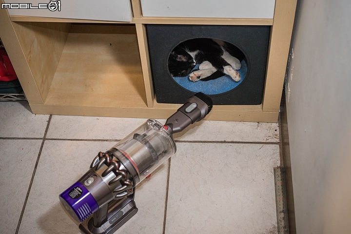 當黑貓遇上Dyson v10。搞定毛小孩的好幫手