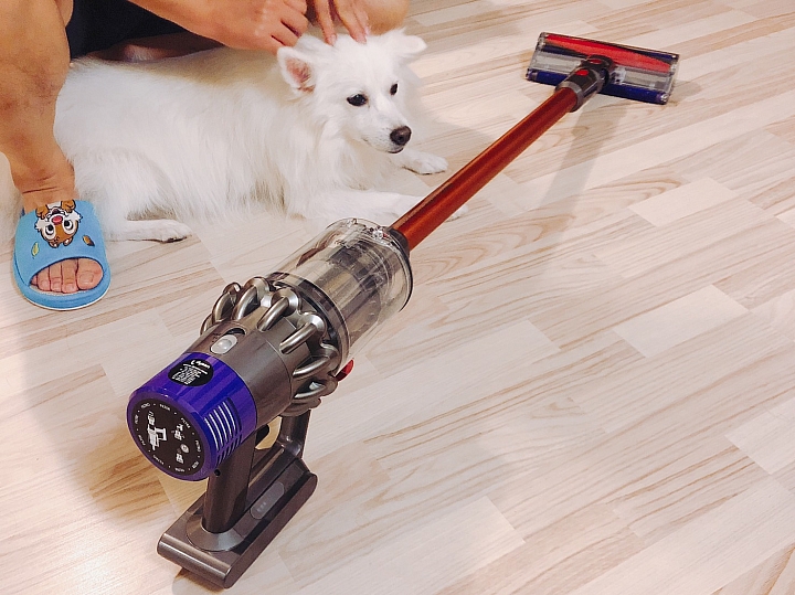 【體驗活動文】用Dyson V10愛屋及烏~愛我的家也愛"牠"~