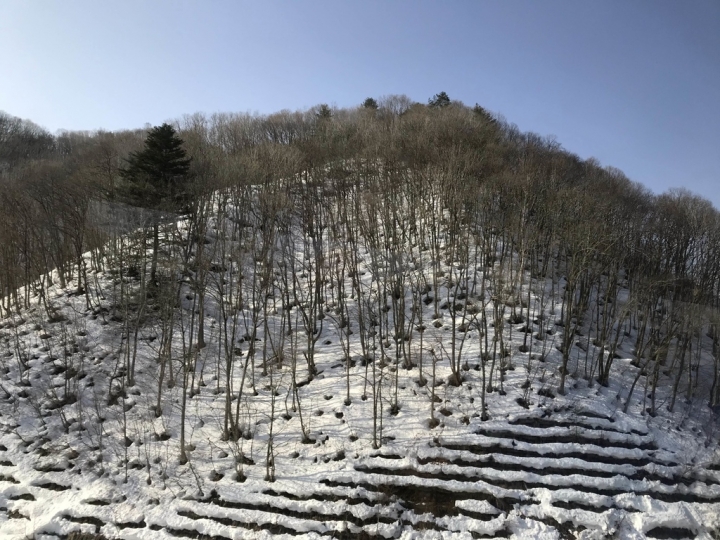 【日本岐阜】前往日本世界文化遺產合掌村茅葺屋，感受雪地冬天的美景