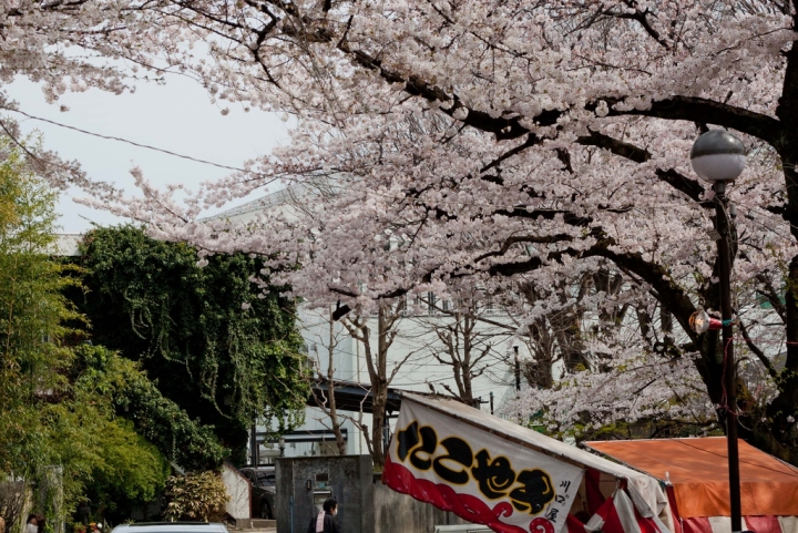 【景點。遊記】東京 山手線觀光景點地圖 下載 手冊 旅遊 旅行 美食 購物 逛街 推薦