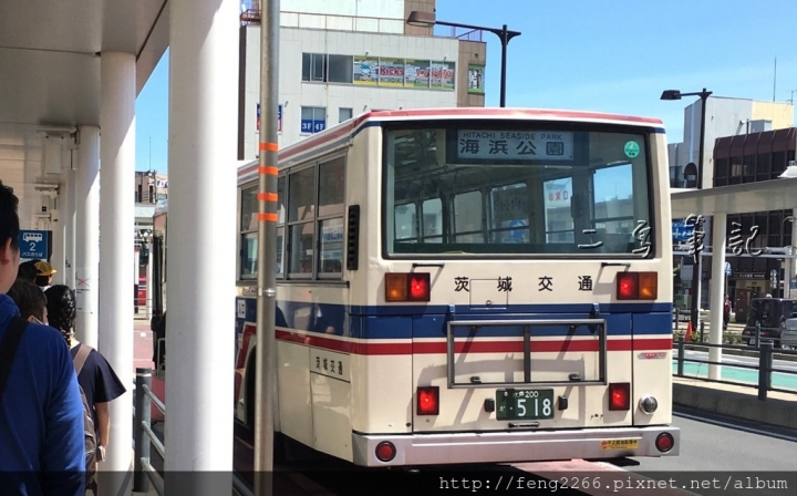 【茨城縣】秋季限定紅色毛茸茸掃帚草