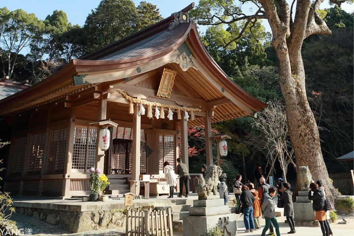 【福岡】寶滿宮竈門神社，賞紅葉求良緣一次搞定