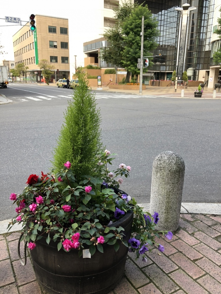 [帶廣]帶廣元祖豚丼＆甜點周遊券