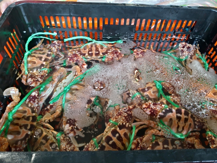 (景點分享) 台北希望廣場