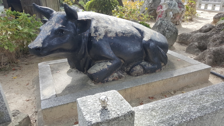 😭再見了各位！之膀胱男孩遊九州●