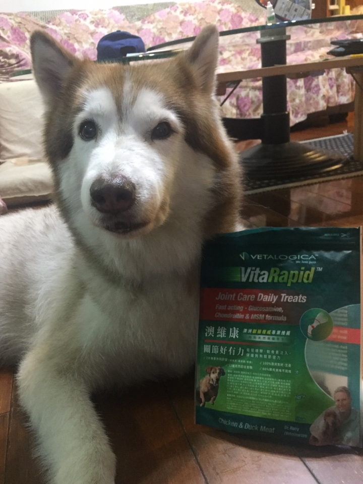 【分享】好吃的狗狗保健品