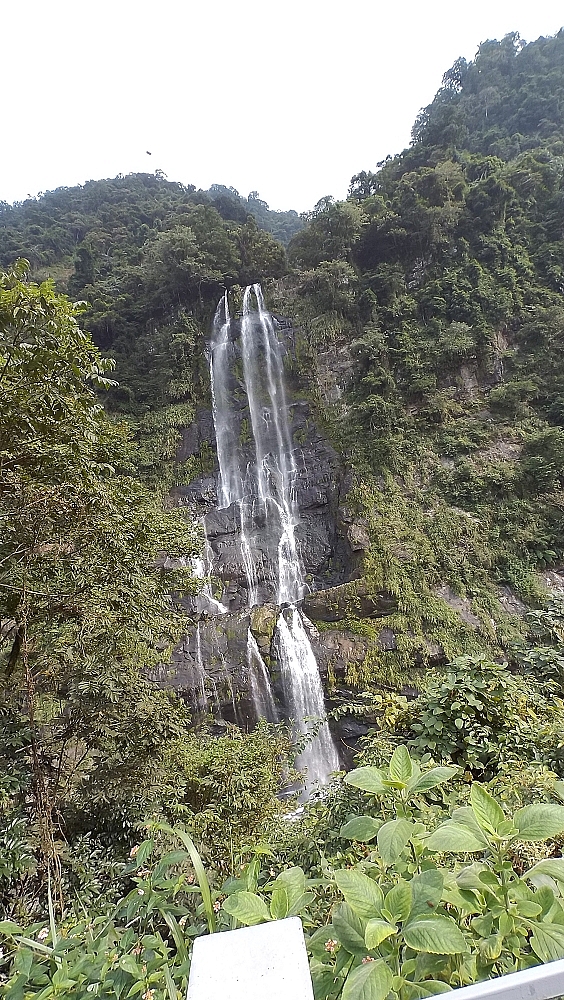 烏來雲仙輕旅遊
