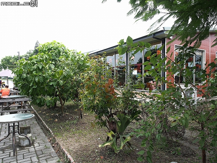 [食記] 花蓮 吉安 櫻の田野休閒養生館-- 草食的養生餐