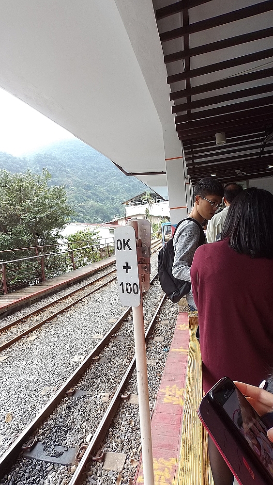烏來雲仙輕旅遊